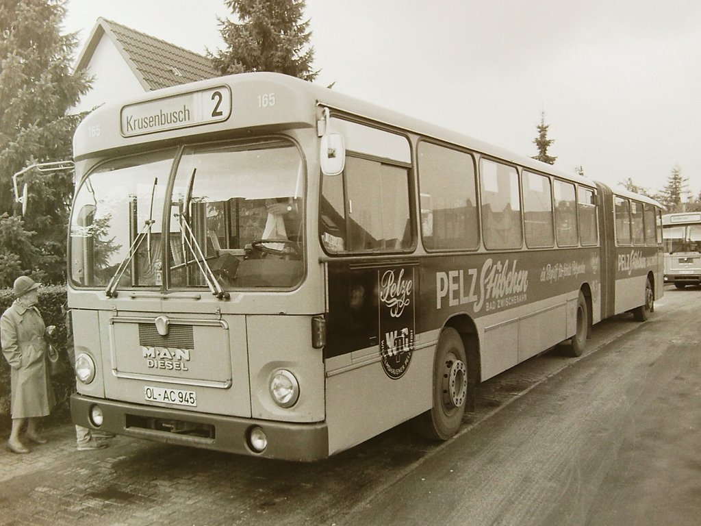 Wagen 165, OL-AC 945, EZ: 1972. Im Jahr 1972 wurden durch Pekol  lediglich  Gelenkbusse angeschafft. Insgesamt 5 Busse vom Typ SG 192 waren schlie�lich im Einsatz : Wagen 168 bis 164. Ein weiterer Gelenkbus, Wagen 169 der noch 1971 mit der Typenbezeichnung 890 SG angeschafft wurde, war Ersatz f�r den 1970 nach einem Unfall mit Totalschaden ausgesondertem Wagen 172. Dabei handelte es sich um einen von 5 Henschel HS 160. Die Gelenkbusse waren ausschlie�lich auf der Linie 2 im Einsatz, die von Krusenbusch im S�den, zur Leuchtenburger Stra�e im Norden f�hrte. Da mir von den Wagen 169 bis 166 keine Bilder zur Verf�gung stehen, will ich stellvertretend auf die Wagen 165 und 164 n�her eingehen. 1972 �nderte MAN die Typenbezeichnung von 890 SG in SG 192. Die Busse waren vom Grundsatz her Weiterentwicklungen des auf dem  Metrobus  basierenden Gelenkbus MAN 890 UG-M16(A). Sie waren mit Unterflurmotoren ausgestattet, die zwischen den beiden vorderen Achsen angeordnet waren. Dadurch erh�hte sich der Boden des Busses im Vergleich zum Solowagen, dem SL 192, um einige Zentimeter. Die SG 192 verf�gten daher im Eingangsbereich �ber h�here Stufen. Dieses Bild von Wagen 165 entstand am 05.10.81 an der Endstation LEUCHTENBURGER STRASSE.