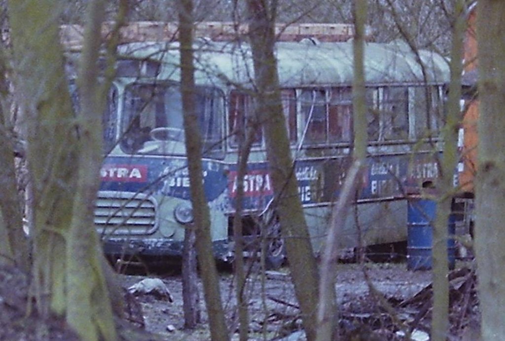 Wagen 42, EZ: 1958. Eigentlich wollte ich mich auf diesen Seiten nur mit den Bussen besch�ftigen, die in den 70er bis 90er Jahren bei den Oldenburger Vorortbahnen im Einsatz waren. Nun fand ich in meinem Archiv dieses Bild von Wagen 42, einem Setra ST 110. Der Bus fristete nach seinem Ausscheiden ein Dasein als H�hnerstall auf einem Ponyhof in Sandkrug. Das Foto vom 31.01.1984 ist nicht besonders gut, au�erdem eine Ausschnittvergr��erung und noch dazu ohne freien Blick auf das Objekt der Begierde. Der Besitzer wollte nicht so gerne, dass man den Bus aus der N�he fotografiert. Trotzdem kann man die Werbung erkennen und das macht die Aufnahme wieder interessant, denn das Bild schl�gt eine Br�cke in das Jahr 1971. Die dunkelblaue ASTRA-Werbung trugen neben diesem Bus auch Wagen 44 und Wagen 48 aus der gleichen Serie. Urspr�nglich hatte die ASTRA-Werbung einen beigen Untergrund. Alle drei Busse wurden werbetechnisch 1971 durch die Wagen 120, 121 und 122 abgel�st, die eben genau diese Lackierung erhielten. 1977 wurde das Design ge�ndert. Die ersten beiden erhielten eine neue ASTRA-Werbung mit wei�em Untergrund, so wie sie auch hier unter den Bild-Nummern 141588 und 141589 bereits gezeigt wurden, w�hrend Wagen 122 dann f�r JEVER-PILSENER warb. Der Besitzer hat sich dann letztlich auch von dem Fahrzeuzg getrennt. Der Bus befindet sich heute im Besitz des Verein f�r Oldenburger Verkehrsgeschichte. 
