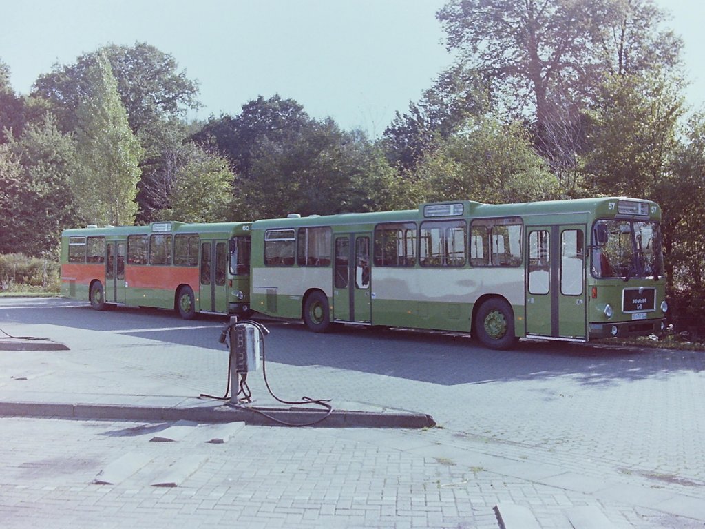 Wagen 57 bis Wagen 62, Das Jahr 1983 war f�r mich ein besonderes Jahr, denn zum ersten Mal fieberte ich der Zuschleusung neuer Busse entgegen. Dann war es endlich soweit. Am Abend des 19.09.83 erreichten die Wagen 58, 59 und 61 den Betriebshof. Am 20.09.83 folgten die beiden neuen Gelenkbusse, Wagen 158 und 157, wieder Daimler Benz O 305 G und am 22.09.83 stellten drei �berf�hrungsfahrer Wagen 57, 60 und 62 auf der Freifl�che ab. Die letzten drei Wagen hatten bereits vorbereitete Werbebanden : W�hrend Wagen 62 das unverwechselbare Rot der LzO-Werbung trug und auf Wagen 60 das ebenso einzigartige Orange der VOLKSBANK-Werbung gl�nzte, fragte ich mich was wohl auf das beige Band von Wagen 57 kommen soll. Auf dem Bild, aufgenommen am 23.09.83, sind Wagen 57 und 60 zu sehen. Neben der Werbung interessierte mich aber noch eine Frage : Wieso hatten die Busse nicht mehr  NC  im Kennzeichen ? 