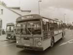 Wagen 112, OL-AC 932, EZ: 1970. Zwei Jahre nachdem MAN den Standardlinienbus 750 HO-SL entwickelt hatte, kaufte Pekol acht Busse dieses Typs. Da ich erst 1981 intensiv mit der Dokumentation des Fuhrparks begann, waren einige der Busse des Baujahres 1970 bereits ausgeschieden. Von Wagen 109 bis 111 stehen mir leider keine Bilder zur Verf�gung. Auch Wagen 113 und 114 fehlen mir. Dieses Bild von Wagen 112 entstand im Oktober 1981 am Stadtmuseum. Der Bus verl�sst gerade die Endstelle STADTMUSEUM Ostseite um �ber den Pferdemarkt zu fahren und am STADTMUSEUM Westseite seinen Umlauf in Richtung DRIELAKE zu beginnen.